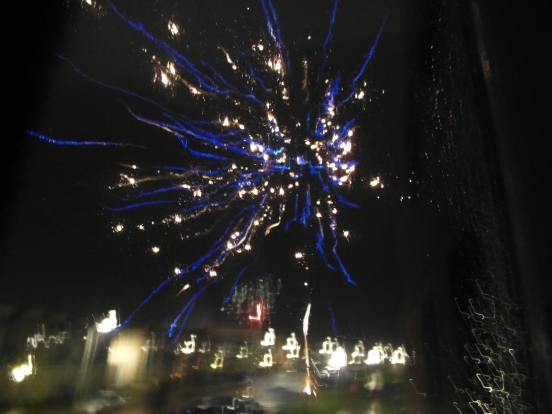 Fireworks Outside Our Window